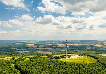 Landschaftspanorama mit grünem Wald, Hügeln und einem markanten Fernsehturm unter wolkigem Himmel.