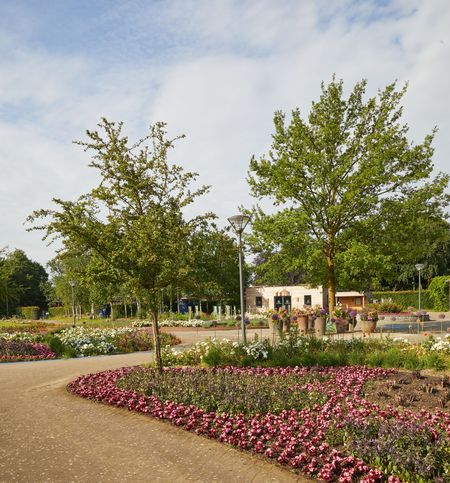 Blühende Parkanlage im Gartenschaupark Rietberg mit geschwungenen Blumenbeeten, Bäumen und einem Gebäude im Hintergrund an einem sonnigen Tag.
