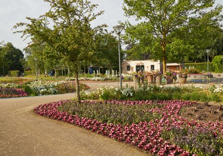 Blühende Parkanlage im Gartenschaupark Rietberg mit geschwungenen Blumenbeeten, Bäumen und einem Gebäude im Hintergrund an einem sonnigen Tag.