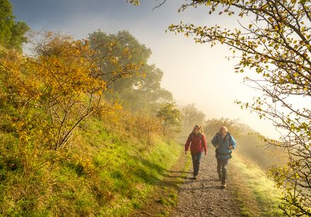 Zwei Wanderer gehen einen sonnigen, von Herbstlaub gesäumten Pfad entlang eines Hügels im Morgennebel.