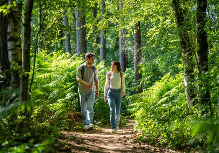 Zwei Personen spazieren auf einem naturbelassenen Waldweg, umgeben von üppigem, grünem Laub.