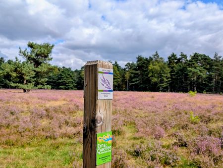 Wanderwegweise in der Moosheide bei Hövelhof