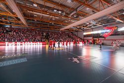 Volle Handball-Arena des TuS N-Lübbecke, beleuchtete Spielfläche, jubelnde Fans im Hintergrund.