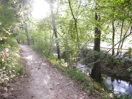 Die Meinte in Lügde