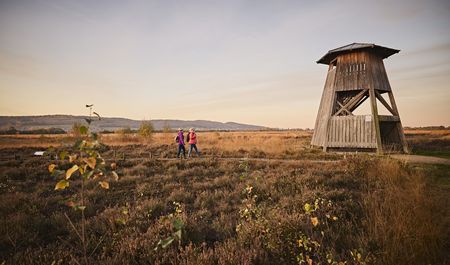 Drei Personen spazieren bei Sonnenuntergang durch eine herbstliche Heidelandschaft neben einem hölzernen Aussichtsturm.