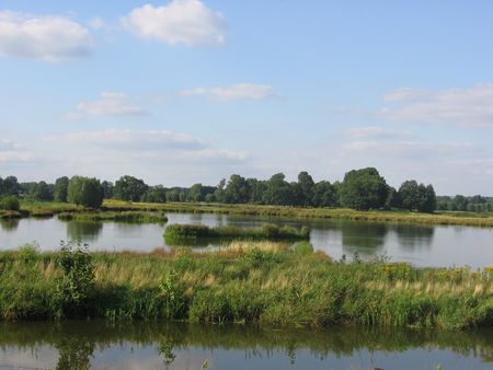 Blick auf das Steinhorster Becken