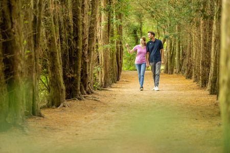 Zwei Personen gehen durch Allee beim Schloss Benkhausen in Espelkamp