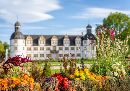 Schloss Neuhaus vor strahlend blauem Himmel, umgeben von einem prächtigen Garten mit bunten Blumen.