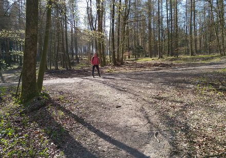 Frühwanderung zur Falkenburg
