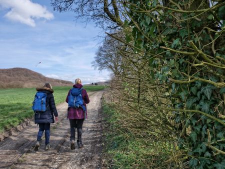 Drachen steigen auf der Drachenwiese