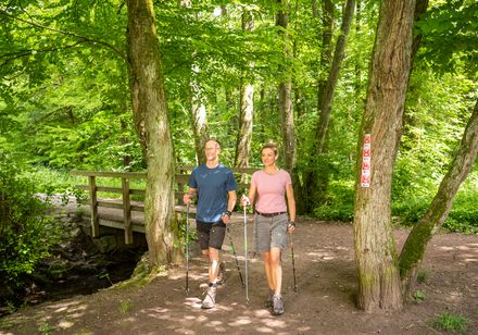 Zwei Personen beim Nordic Walking im Wald / Silvaticum Horn-Bad Meinberg