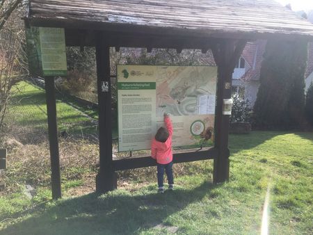 Wandertafel am Startpunkt Naturerlebnispfad am Schildberg