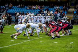 Spielszene eines American-Football-Spiels der Paderborn Dolphins mit Spielern in Aktion auf dem Feld.