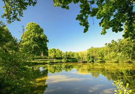 Teich in grüner Natur bei der Klosteranlage Herzebrock