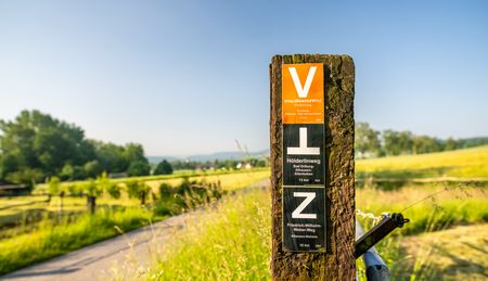Wegweiser der VitalWanderWelt an einem Feldweg bei Bad-Driburg im Teutoburger Wald