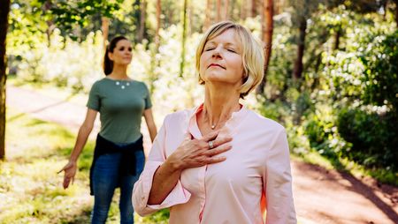 Entspannen im Heilwald Bad Lippspringe 