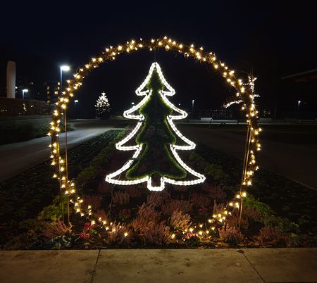 Beleuchteter Weihnachtsbaum-Kranz