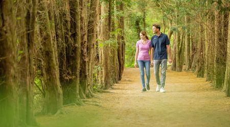 Ein Paar spaziert auf einem von Bäumen gesäumten Pfad, umgeben von dichtem Grün.
