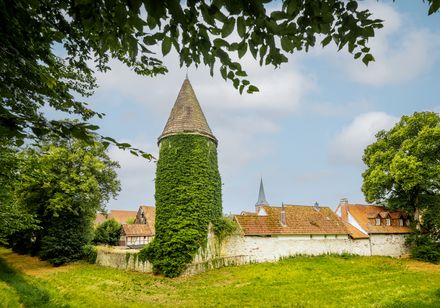 Bewachsener Rundturm, umgeben von Bäumen und blühenden Wiesen.