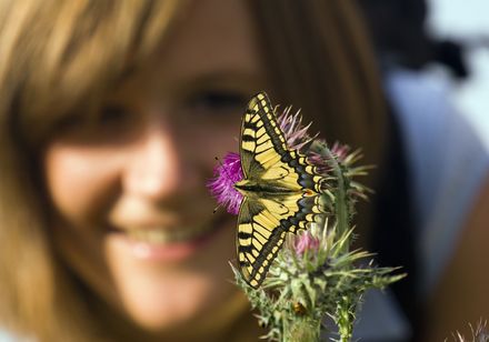 Schmetterlingspfad in Willebadessen, Foto: Frank Grawe