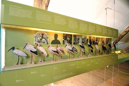 Westfälisches Storchenmuseum