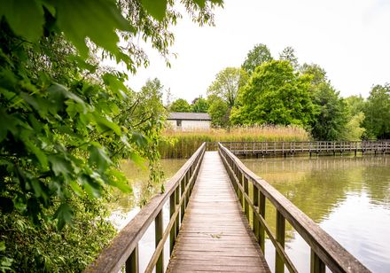 Steg beim Teich im Steinmeisterpark Bünde