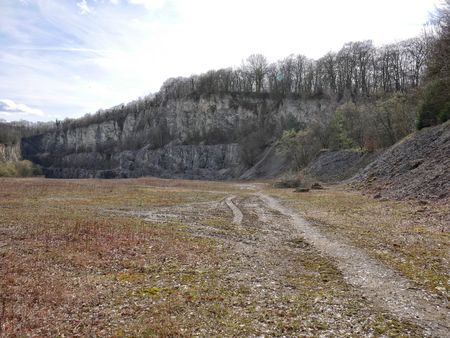 helle Felsen mit Bäumen bewachsen