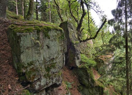 Wandern mit Ausblick auf dem Wilderer-Wanderweg im Paderborner Land, Foto: Touristikzentrale Paderborner Land e.V. 