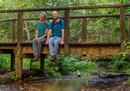 Ein lächelndes Paar sitzt auf einer hölzernen Brücke über einem kleinen Waldbach umgeben von Grün.