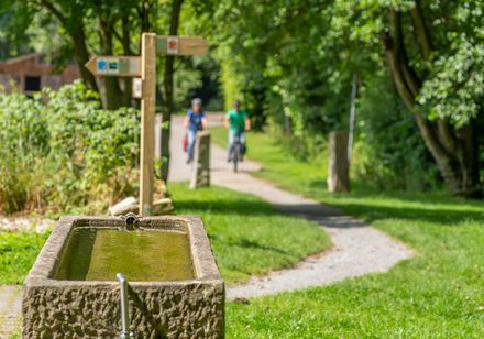Ein Trinkbrunnen am Wegrand mit Radfahrern im Hintergrund auf einem sonnigen Waldweg.