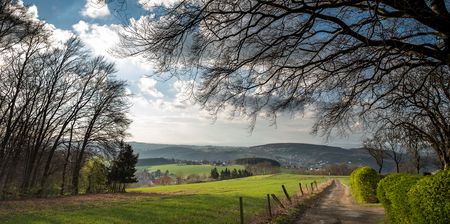 Weite Landschaft mit sanften Hügeln und Feldern, ein Pfad führt unter einem Baum ins Tal.