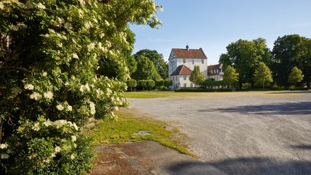 Burg Dreckburg in Salzkotten, Vorne links ein blühender Busch