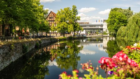 Blühende Blumen am Ufer eines Flusses in Detmold mit historischen Fachwerkhäusern im Sonnenlicht.