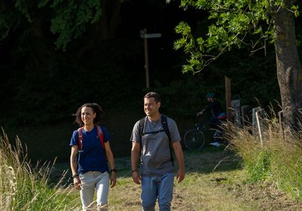 Zwei Personen wandern auf einem sonnigen Pfad, umgeben von grüner Natur und Bäumen.