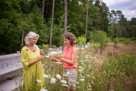 Achtsamkeitsübung Sehen und Fühlen in der Natur 