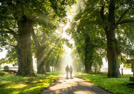 Zwei Personen auf Nieheimer Kunstpfad im Licht zwischen Bäumen