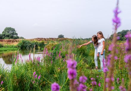 Kinder an der renaturierten Dalke in Gütersloh