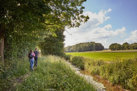 Zwei Personen spazieren auf einem schmalen Pfad entlang eines Feldes und Bachs, flankiert von Bäumen.