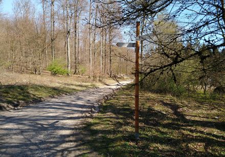 Frühwanderung zur Falkenburg