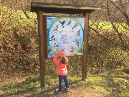 Vogelstimmenuhr am Naturerlebnispfad am Schildberg