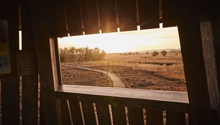 Ausblick aus Fenster des Aussichtsturms im Großen Torfmoor