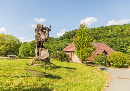Holzfigur von einem Wisent vor dem Hammerhof in Warburg