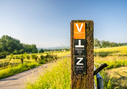 Wanderwegweiser zur Vitalwanderwelt: Gesundes Wandern in Bad Driburg
