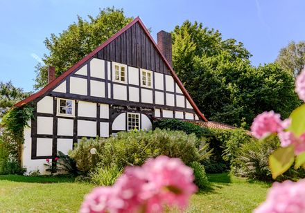 Fachwerkhaus umgeben von grüner Natur, vorne pinke Blumen
