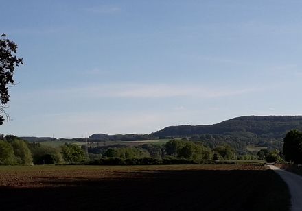Blick auf Radweg, Felder und Hügel