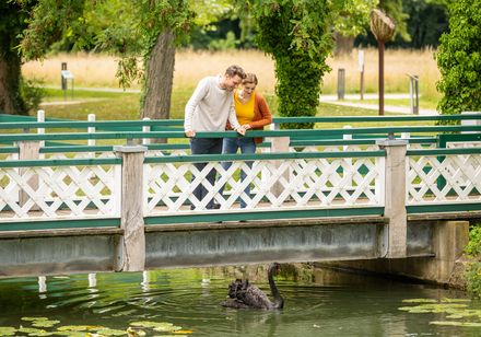 Ein Paar blickt von einer weißen Holzbrücke hinab auf einen schwarzen Schwan im Wasser.
