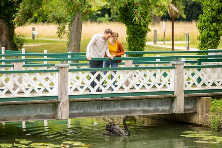 Ein Paar blickt von einer weißen Holzbrücke hinab auf einen schwarzen Schwan im Wasser.