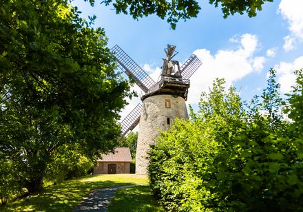 Historische Windmühle umgeben von grünen Bäumen unter blauem Himmel mit weißen Wolken.