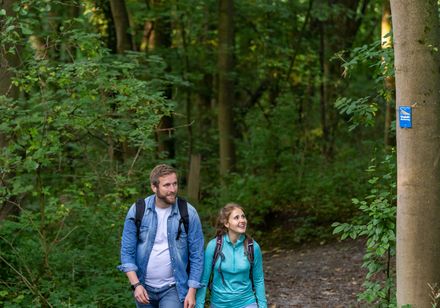 Ein Pärchen läuft auf dem Viaduktwanderweg in Altenbeken