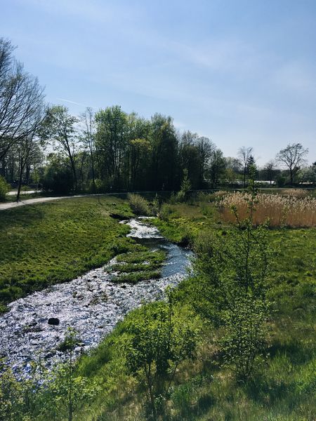 Dalke Wassererlebnispfad, "Grünes Klassenzimmer"